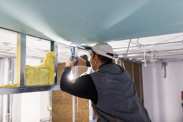 Best Specialized Insulation Services in Grimes, IA